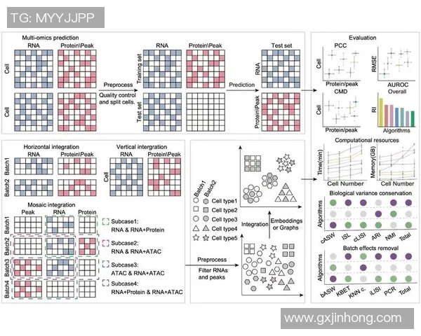 DOTA2焦点RNG个人能力分析与团队协作的深度探讨 DOTA2焦点RNG个人能力分析与团队协作的深度探讨